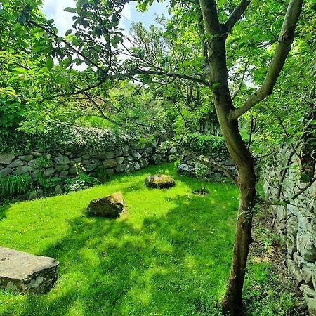 Apartament The Hayloft Llwyndu Barmouth Zewnętrze zdjęcie